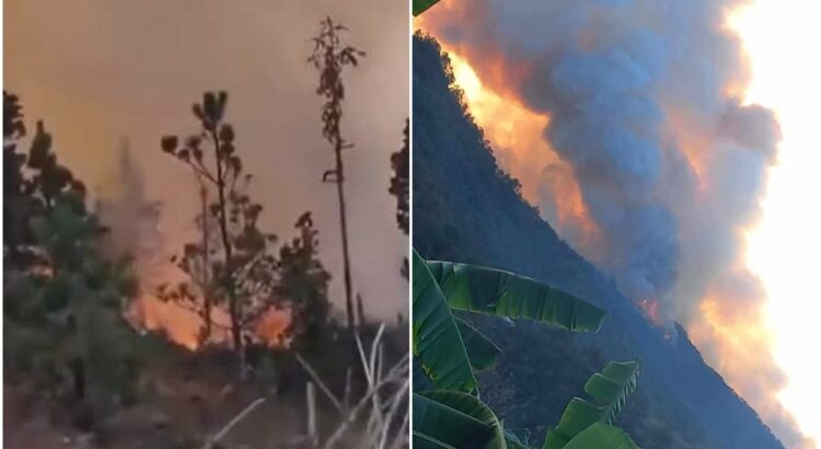 Muere menor de edad por incendio forestal en Santa María Peñoles, Oaxaca; suman 3 víctimas