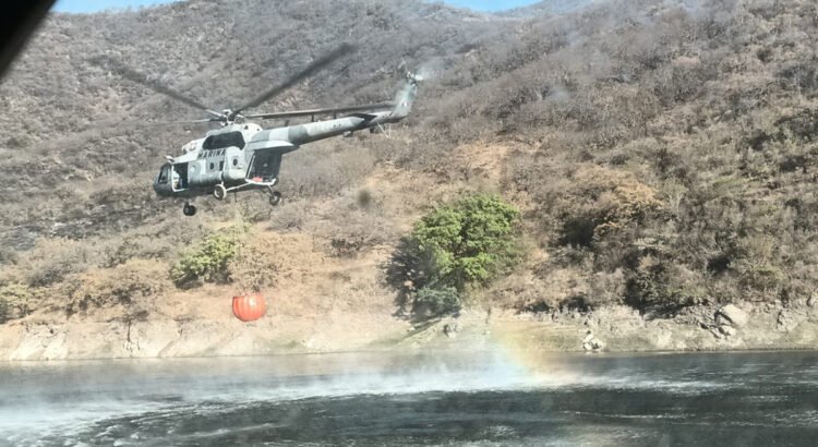 Marina se une a combate de incendios forestales en Oaxaca