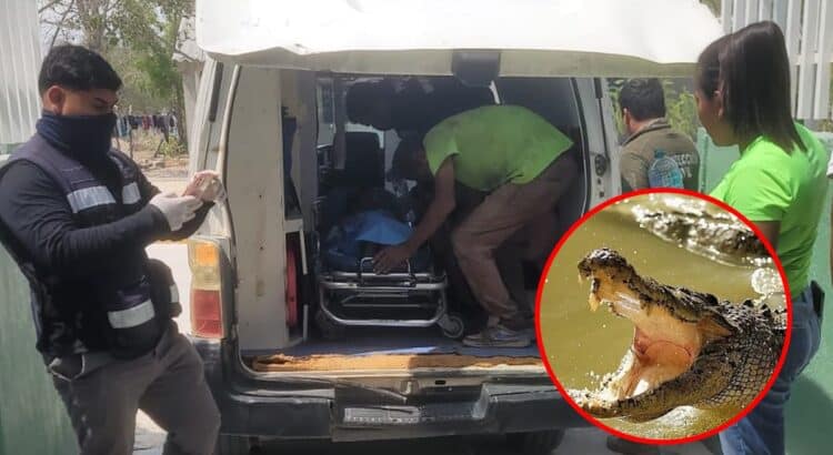 Niño de 8 años es atacado por un cocodrilo en Pinotepa Nacional, Oaxaca