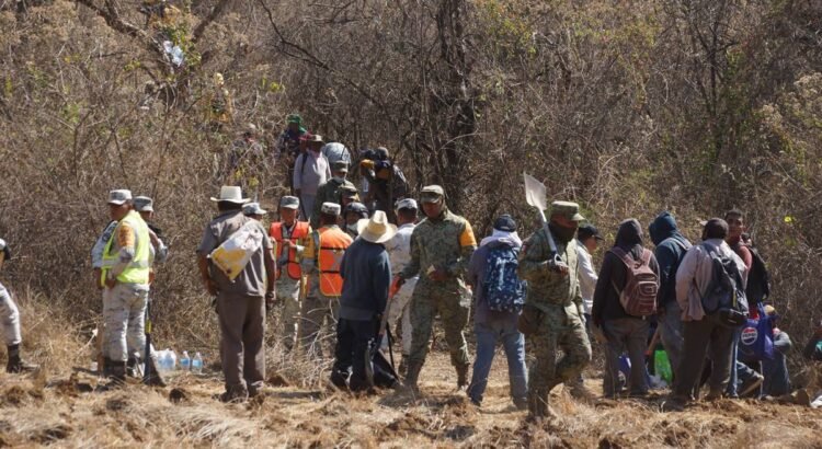 Reportan avance del 85% en el control del incendio en Tomaltepec