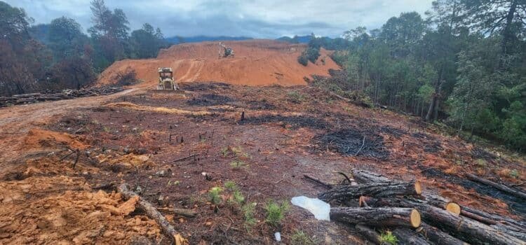 Denuncian desmonte y tala de árboles en Guerrero Grande, Atatlahuca; prevén violencia nuevamente en la zona