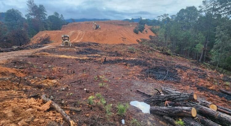 Denuncian desmonte y tala de árboles en Guerrero Grande, Atatlahuca; prevén violencia nuevamente en la zona