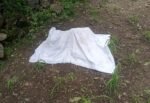 “Solicitamos apoyo urgente, nos están matando”, denuncian autoridades de San Juan Mixtepec, Oaxaca