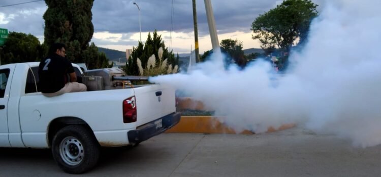 Registra Oaxaca dos muertes confirmadas por dengue y 38 casos acumulados