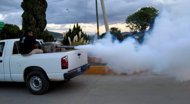 Registra Oaxaca dos muertes confirmadas por dengue y 38 casos acumulados