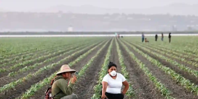 Inician campesinos huelga de 72 horas en California