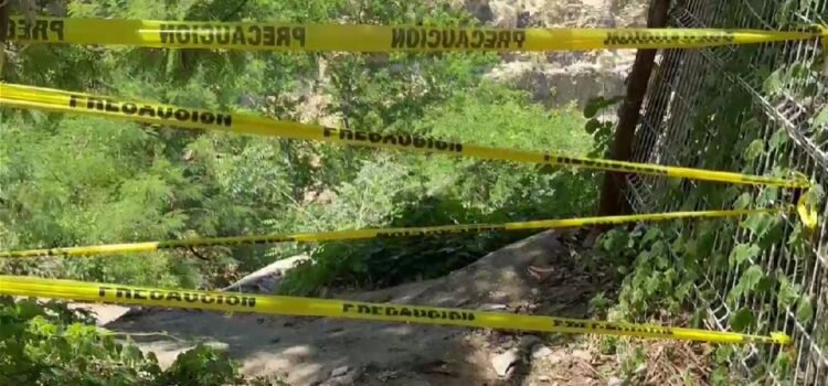 Mueren dos hombres tras ataque de abejas africanizadas en Puerto Escondido