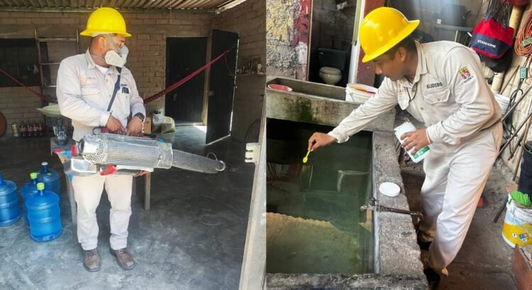 Confirman una muerte más por dengue en Oaxaca; menores de 10 a 14 años, los más afectados