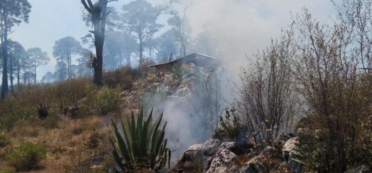 Reportan fuego cruzado entre Monteverde y Yosonotú, Oaxaca; permanece conflicto de tierra