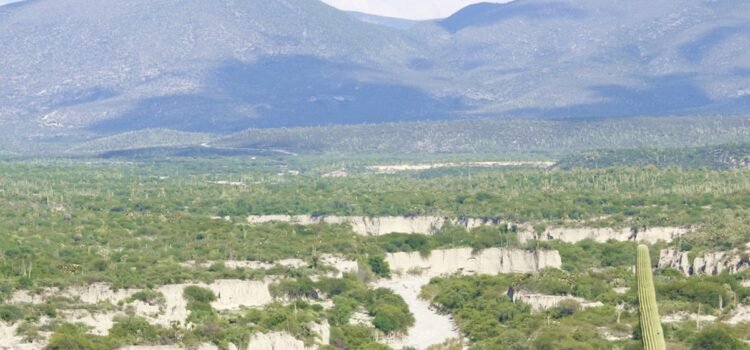 Organizaciones de Oaxaca y Puebla denuncian amenazas en el marco del Foro Regional por la Defensa de los Territorios