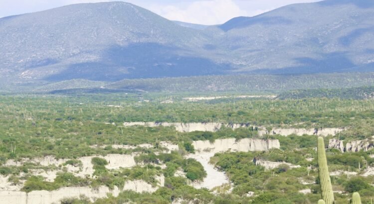 Organizaciones de Oaxaca y Puebla denuncian amenazas en el marco del Foro Regional por la Defensa de los Territorios