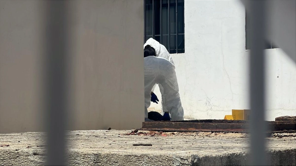 Dos niñas haitianas fallecieron al caer a fosa séptica en albergue del DIF Oaxaca